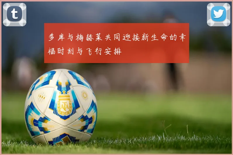 多库与梅赫莱共同迎接新生命的幸福时刻与飞行安排